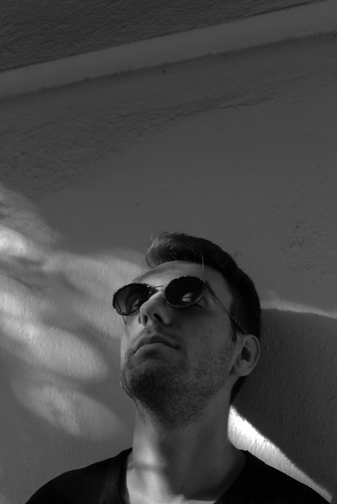 Portrait of a Swiss man historian and writer with glasses